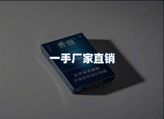 专业团队办公环境